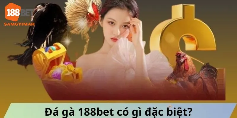 Những điểm đặc biệt khi chơi đá gà chỉ có tại 188bet