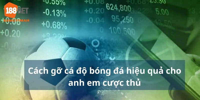 cách gỡ cá độ bóng đá