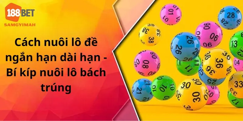 Cách nuôi lô đề ngắn hạn dài hạn