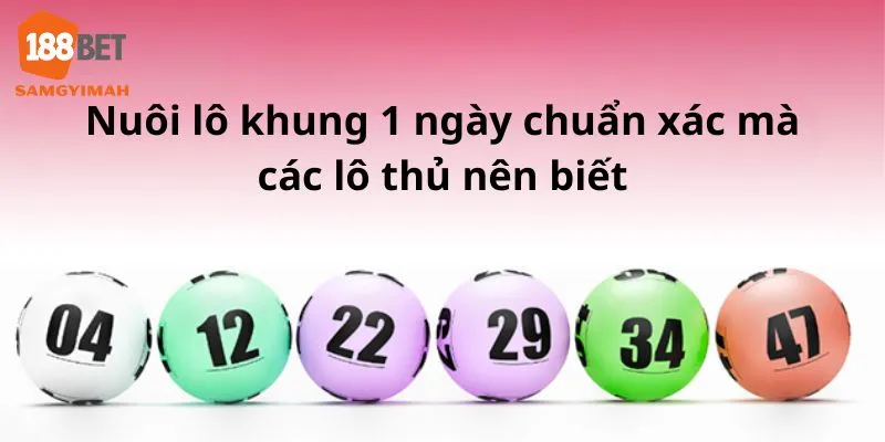 nuôi lô khung 1 ngày